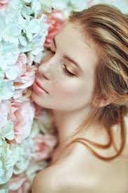 Rose in Fiamme, Rosetto Rosa Sul Prato Verde Con Fondo Sfuocato Immagine  Stock