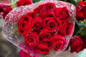 Rose flower plant cut flowers for valentines day. Red Rose Flower Bouquet Background Valentine Day Stock Photo Picture And Royalty Free Image Image 105351278