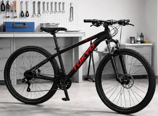 BICICLETA MARCA TOKYO RODADO 29