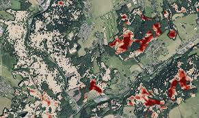 Die wirkungsdauer des netzes liegt bei ca. Borkenkafer Bekampfung Mit Satellit