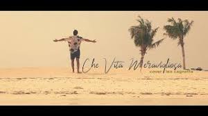 Che vita meravigliosa è un album intenso che, come si evince dal titolo, vuole essere un inno universale al gioco folle e bellissimo che è la vita. Che Vita Meravigliosa Diodato Cover Leo Cagnetta Youtube
