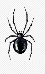 Wich insect or little animal would you like to see next ? Simple Black Widow Tattoo Hd Png Download Vhv