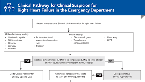 Image result for Right Heart Failure