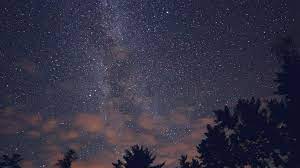 Papers Co Desktop Wallpaper Nc78 Night Sky Stars Milkyway Wood Nature Blue Night Sky Wallpaper Night Sky Stars Sky Aesthetic