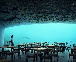 Restaurant Sous L Eau Underwater Restaurant Underwater Norway