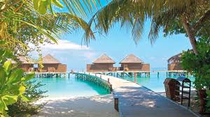 تحتوي جزر المالديف على العديد من المنتجعات الجميلة والجذابة ، نعرض إليكم هنا قائمة بأجمل المنتجعات السياحية الجذابة في جزر المالديف بإعتبارها أفضل المنتجعات الفاخرة تقييما. Ø£Ø³Ø¨ÙˆØ¹ Ø§Ù„Ù…Ø§Ù„Ø¯ÙŠÙ 5 Ø£ÙŠØ§Ù… Ù…Ù† Ø§Ù„ØªØ±Ø§Ø« Ø§Ù„Ø¹Ø±ÙŠÙ‚ ÙˆØ§Ù„Ù…ØªÙ†Ùˆ Ø¹ Ø­ÙŠØ§ØªÙ†Ø§ Ø«Ù‚Ø§ÙØ© Ø§Ù„Ø¥Ù…Ø§Ø±Ø§Øª Ø§Ù„ÙŠÙˆÙ…