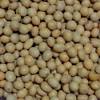 Semuanya dari pengalaman peniaga air soya. Https Encrypted Tbn0 Gstatic Com Images Q Tbn And9gcrsiu8xmcjma0xz9lth 9nm 95ccoeahkeau5wewkosw6vdidmm Usqp Cau