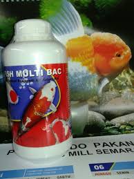 Ikan koi menjadi salah satu ikan hias terpopuler dan peminat yang cukup banyak di indonesia, pusat perkembangan ikan koi terbesar saat ini ada di blitar. Jual Penjernih Air Kolam Ikan Koi Penjernih Aquarium Fish Multi Bac Di Lapak Akari Shop Bukalapak