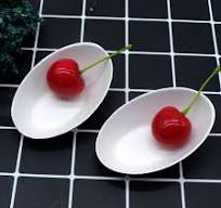 Egg Shape Disposable Sugarcane Bagasse Pulp Biodegradable Mini Trays for Y002-2