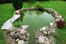 Image result for garden pond ideas