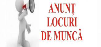 Durata contractului de muncă este de aproximativ 3 luni, data estimată de angajare fiind 15 februarie 2019. Sute De Locuri De Munca Vacante In Judetul Valcea Ziarul De Valcea