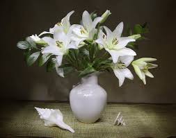 It could symbolize pure love and childhood as well. Photos White Lilies Flowers Vase