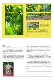 Edible Herbs Flowers Other Edibles Grow Your Own Dinner Stuffed Nasturtium Leaves Dolma And A Grain Salad Foraging Recipes Edible Flowers Limequats