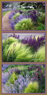 Pin On Backyard Gardening Ideas