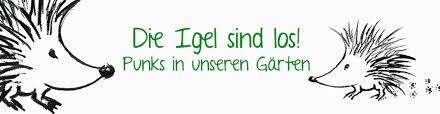 Wie Lebt Ein Igel