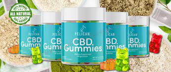 kushy punch cbd gummy