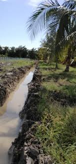 Sebutharga menaiktaraf jalan dan sistem perparitan di taman nuri, jalan datuk kumbar, mb alor setar. Sistem Perparitan Pertanian Teratai Putih Bina Enterprise Facebook