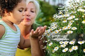 7,311 Daisy Gardner Stock Photos, High-Res Pictures, and Images