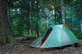 Maybe you would like to learn more about one of these? Hike To Camp Muir Mount Rainier S Base Camp Above The Clouds