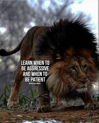 Pin On Calligraphy Quotes