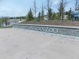 Close to the entrance of whipsnade zoo in bedfordshire, england, there is a colony of lemurs that live on a piece of ground surrounded on three sides by a. Mn Zoo Makes Up For This Year S Worst Winter Ever The Pony Express
