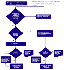 Youth Health And Wellbeing Assessment Flow Diagram Youth