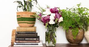 The first symptom of an overwatered plant is one we've discussed several times on this blog next, if you see any top growth on your plant, including fruits and flowers, cut them off. Hydrating Your Plants Symptoms Of Overwatering Bouqs Blog