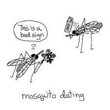 Pin On Silly Mosquito Jokes
