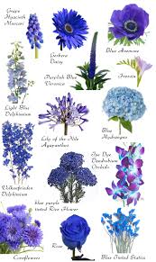 Flower Names By Color Hayleys Wedding Tips 101