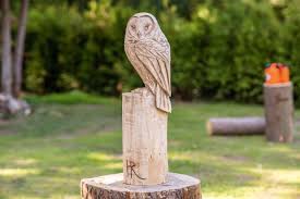 Sie wollen eine eule aus holz selber machen? Izlesik Eule Schnitzen Vorlage Eulen Steinfigur Zur Einhaltung Der Massnahmen Sollen