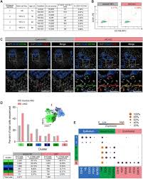 Apart from registration, the act also mandates practitioners who want to practice in that particular year to apply for annual practising certificate (apc); Differentiation Of Human Intestinal Organoids With Endogenous Vascular Endothelial Cells Biorxiv