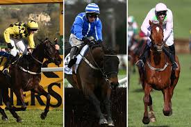 The champion hurdle will headline day one, the queen mother champion chase day two, the stayers' hurdle day three and the gold cup will bring the meeting to a crescendo on day four. Cheltenham Festival 2021 Countdown Willie Mullins Team Of Runners Including 3 1 Gold Cup Favourite Al Boum Photo
