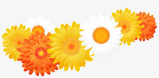 Gerbera Clipart Sunflower Gerberas Png 7305x3368 Png Download Pngkit Available for download in png, svg and as a font. gerbera clipart sunflower gerberas