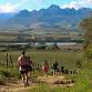 Garden Town Vineyard Run at Neethlingshof - Garden event image
