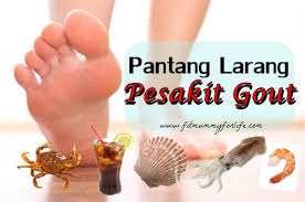 Siapa pernah dengar pantang larang macam ni? Pantang Larang Makanan Pesakit Gout Fit Mummy For Life