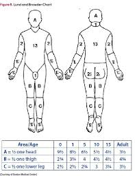 24 Explicit Lund And Browder Chart For Burns