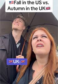 Image result for Autumn Gold Dark 1983 Caloric