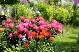 We did not find results for: How Much Does A Garden Designer Cost