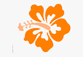 Maybe you would like to learn more about one of these? Orange Hibiscus Flower Clipart Hd Png Download Transparent Png Image Pngitem