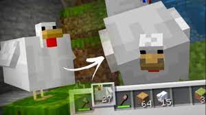 Midnight chicken, a entirely black chicken from head to toe. How To Get Thicc Chicken In Minecraft Earth Youtube