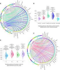 Testicular cancer is strongly associated with excessive masturbation. Oncoomics Approaches To Reveal Essential Genes In Breast Cancer A Panoramic View From Pathogenesis To Precision Medicine Biorxiv