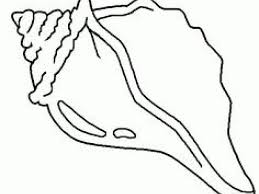 Maybe you would like to learn more about one of these? Conch Shell Drawing Simple