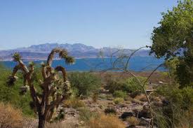 The lowest & driest place in north america, hottest place on earth & more! Death Valley Etats Unis Le 8 Aout 2013 Amargosa Opera House Et Hotel Dans Le Magnifique Paysage Du Desert Entourant La Vallee De La Mort Usa Dans Une Journee Ensoleillee En Ete
