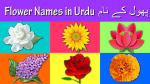 American flowers indian flowers asian flowers and african grown flowers you can see some selected flower species. Learn Flower Names In Urdu And English Ù¾Ú¾ÙˆÙ„ Ú©Û' Ù†Ø§Ù… Rhymes Collection For Kids Youtube
