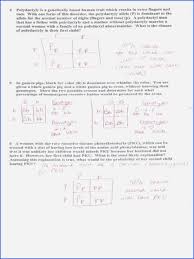 Make a key to show all the possible genotypes (and phenotypes) of this. Dihybrid Cross Worksheet Answers Awesome 15 Best Of Dihybrid Cross Worksheet Answers Chess Dihybrid Cross Worksheet Dihybrid Cross Kids Worksheets Printables