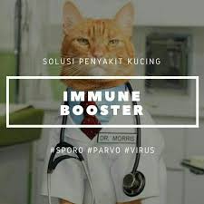 Parvo adalah penyakit virus yang biasa dan berpotensi serius pada anjing. Cat Immune Booster Masalah Kucing Virus Parvo Sporo Shopee Malaysia