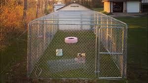 Check spelling or type a new query. Building Our Predator Proof Chicken Run Part 1 The Roof Youtube