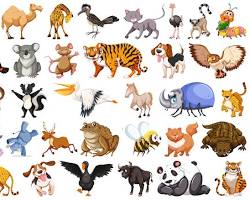 Image de Animaux