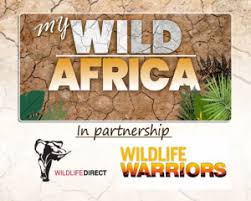 Citizen tv is a national station in kenya owned by royal media services. My Wild Africa Premiers On Citizen Tv Kenya Wildlifedirect