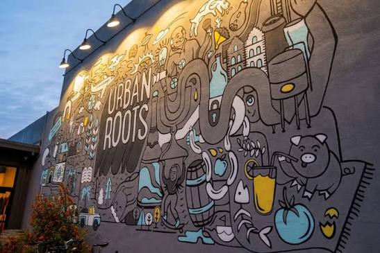 Urban Roots — Sacramento Food Review